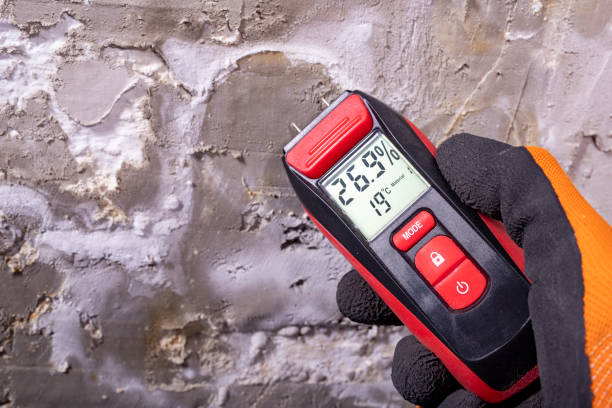 Best DIY Mold Remediation Support Services in Newberry, MI